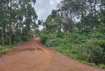 0.125 ac Land in Banana - 4