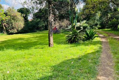 2.2 ac Land in Lavington