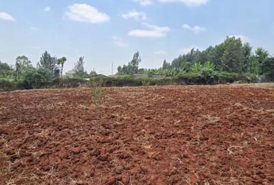 Land in Thindigua - 4