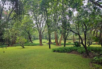 4 Bed House with En Suite in Nyari - 4