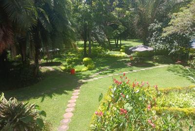 Commercial Property in Lavington