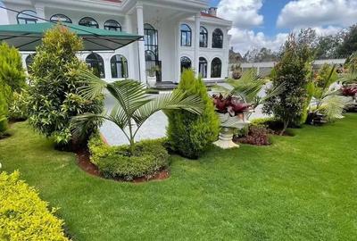 7 Bed House with En Suite in Karen