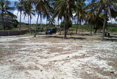 25 ac Land at Kikambala Beach - 4