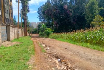 2,832.8 ac Land in Thindigua