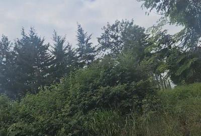 Land in Kiambu Road - 3
