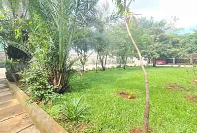 1 Bed Apartment with Borehole at Hurlingham - 2