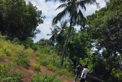 0.125 ac Residential Land at Diani Beach Road - 3