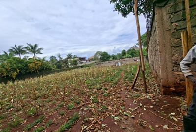 Residential Land in Runda - 3