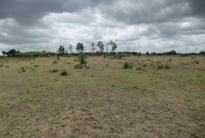 Land at Ngelani