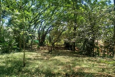 3 Bed House with En Suite in Spring Valley - 2