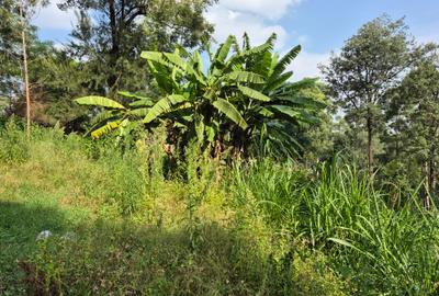 Land in Kitisuru