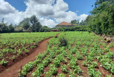 1 ac Residential Land in Runda - 3