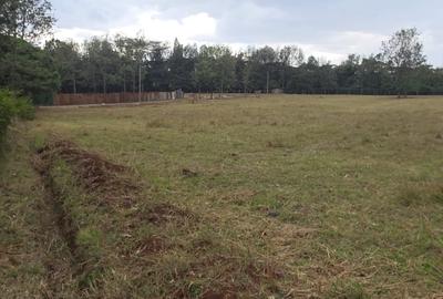 Land in Karen