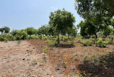 2 ac Land at Ls217 - 2