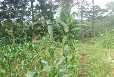 Residential Land in Kiambu Road
