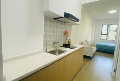 Furnished Studio Apartment with En Suite in Juja - 2