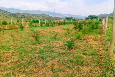 500 m² Residential Land at Ndiuni