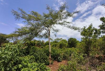 Residential Land at Galu