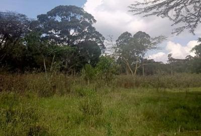 0.5 ac Residential Land in Karen - 2
