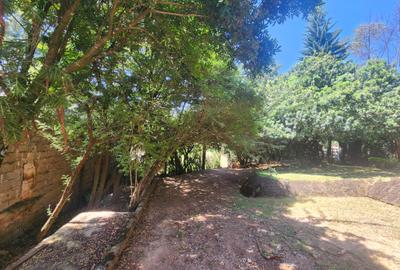 4 Bed House with En Suite at Mushroom Road - 2