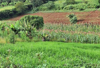 1 ac Residential Land at Tigoni - 3