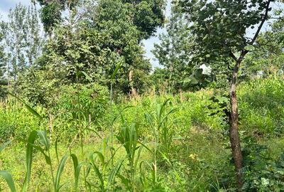 2 ac Land at Karingani - 2