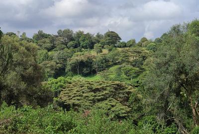 2,000 m² Land in Karen Hardy