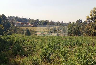 4,047 m² Land in Kikuyu Town