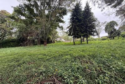 5 ac Land in Kitisuru - 3