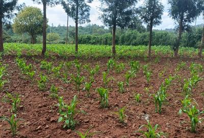 0.045 ha Residential Land at Kikuyu Gikambura