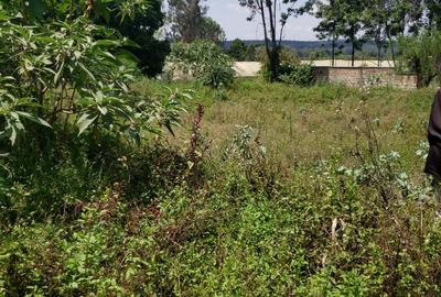 0.5 ac Land in Karen