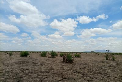 15 ac Land in Juja