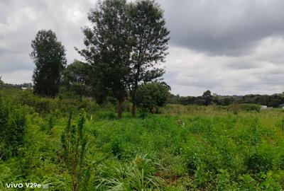 1 ac Land at Kerarapon Drive - 4