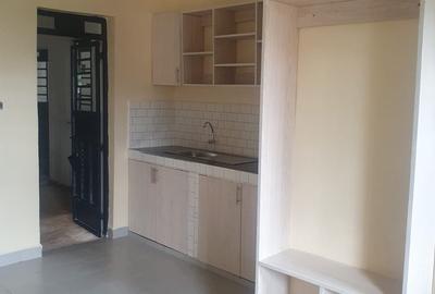 Studio Apartment with En Suite at Kirigiti Near International Stadium - 3