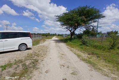 Land at Ostrich Farm - 2