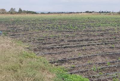 0.25 ac Land in Isinya - 2