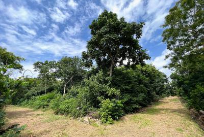 Land in Diani