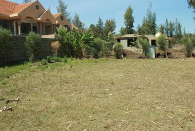 0.10 ha Residential Land at Kerarapon - 4