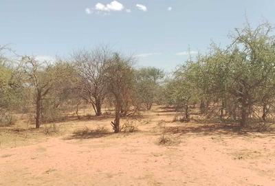 148 ac Land at Namanga Road - 3