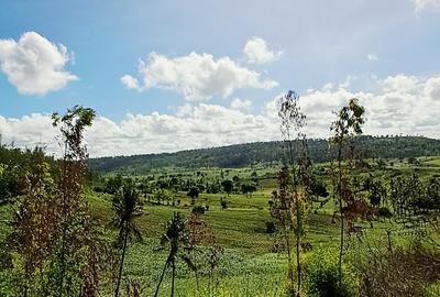 Land at Vipingo