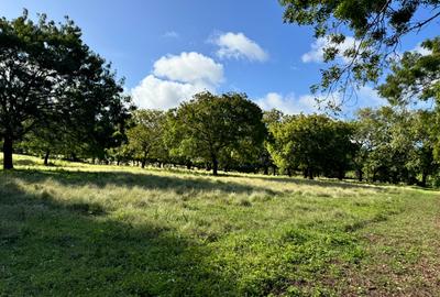 Land in Vipingo - 3