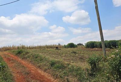 10 ac Land at Kirawa Road - 3
