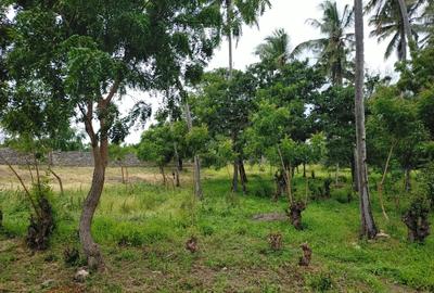 1,012 m² Land at Kikambala Beach - 4