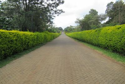 Residential Land at Off Dagoretti Rd - 3