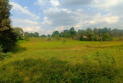 500 m² Residential Land at Thogoto Teachers College Neighborhood - 2