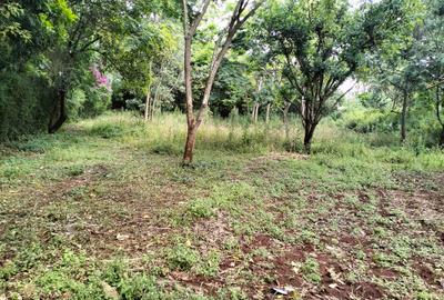 1 ac Land in Runda