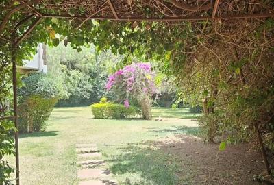 5 Bed Villa with En Suite in Spring Valley - 2