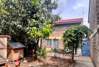 4 Bed House with Garden at Phase 2
