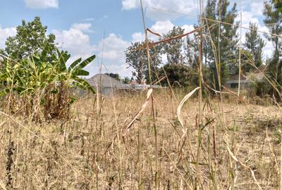 Residential Land at Deliverance Church - 3