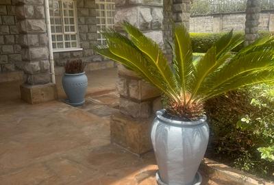 4 Bed House with En Suite in Runda - 3